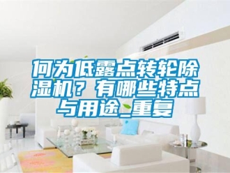 常見(jiàn)問(wèn)題何為低露點(diǎn)轉(zhuǎn)輪除濕機(jī)？有哪些特點(diǎn)與用途_重復(fù)