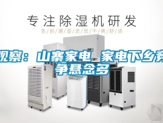 行業(yè)新聞?dòng)^察：山寨家電 家電下鄉(xiāng)競(jìng)爭(zhēng)懸念多