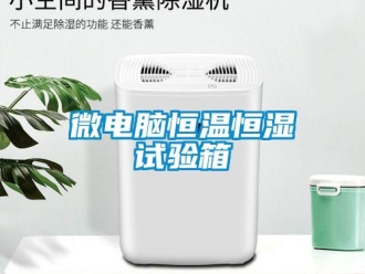 知識百科微電腦恒溫恒濕試驗箱