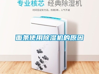 行業新聞面條使用除濕機的原因