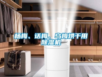 知識百科楊梅、話梅、烏梅烘干用除濕機