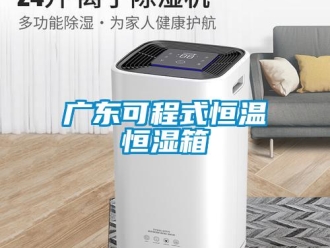 知識百科廣東可程式恒溫恒濕箱