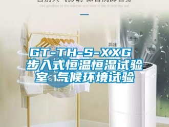 常見問題GT-TH-S-XXG 步入式恒溫恒濕試驗室 氣候環境試驗