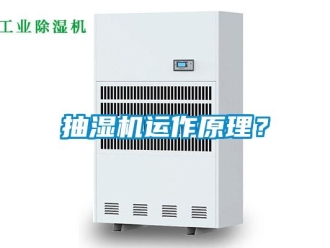 常見問題抽濕機運作原理？
