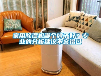 常見問題家用除濕機哪個牌子好？專業的分析建議不容錯過