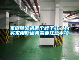 行業(yè)新聞家庭除濕機哪個牌子好？購買家用除濕機需要注意事項