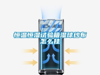 知識百科恒溫恒濕試驗箱濕球紗布怎么掛