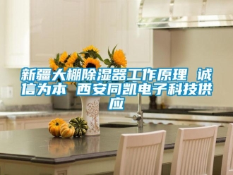 行業新聞新疆大棚除濕器工作原理 誠信為本 西安同凱電子科技供應