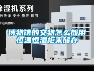 常見問題博物館的文物怎么都用恒溫恒濕柜來儲存