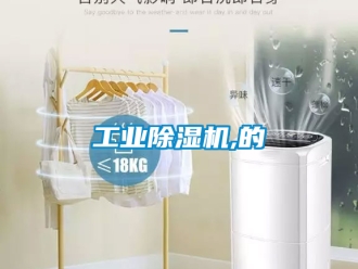 常見(jiàn)問(wèn)題工業(yè)除濕機(jī),的