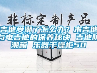 常見問題吉他受潮了怎么辦？木吉他與電吉他的保養秘訣 吉他防潮箱 樂器干燥柜50