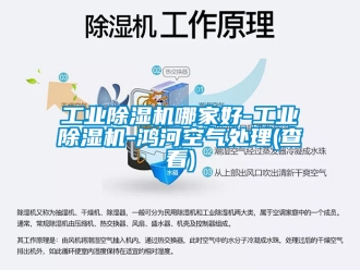 常見問題工業除濕機哪家好-工業除濕機-鴻河空氣處理(查看)