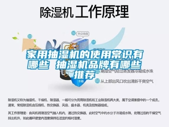企業新聞家用抽濕機的使用常識有哪些 抽濕機品牌有哪些推薦