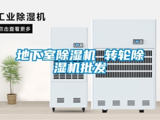 常見問題地下室除濕機 轉輪除濕機批發