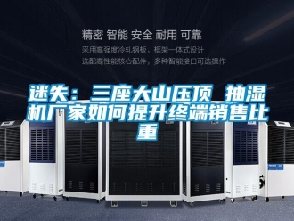 常見問題迷失：三座大山壓頂 抽濕機廠家如何提升終端銷售比重