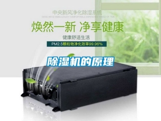 企業(yè)新聞除濕機的原理