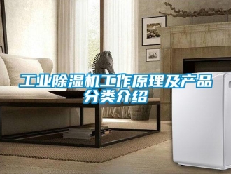企業新聞工業除濕機工作原理及產品分類介紹