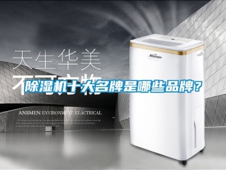 企業新聞除濕機十大名牌是哪些品牌？