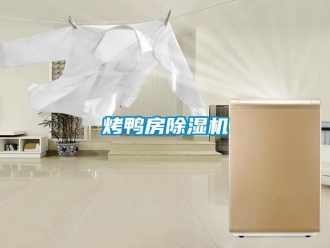 行業(yè)新聞烤鴨房除濕機(jī)