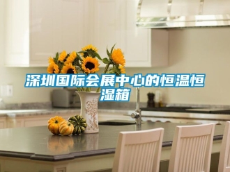 知識百科深圳國際會展中心的恒溫恒濕箱