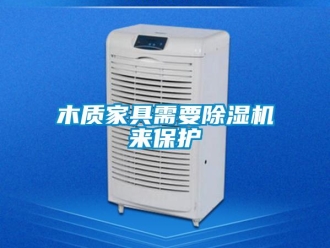 行業新聞木質家具需要除濕機來保護