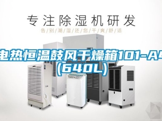知識(shí)百科電熱恒溫鼓風(fēng)干燥箱101-A4(640L)