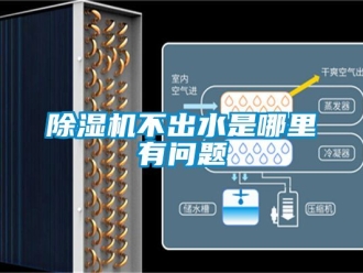 企業新聞除濕機不出水是哪里有問題