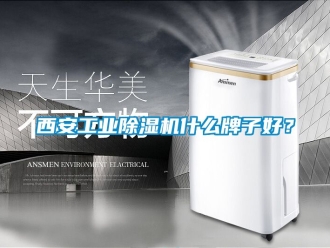 常見問題西安工業除濕機什么牌子好？