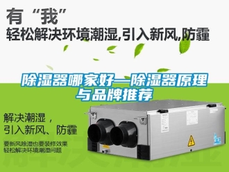 行業新聞除濕器哪家好—除濕器原理與品牌推薦