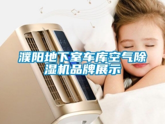 企業新聞濮陽地下室車庫空氣除濕機品牌展示