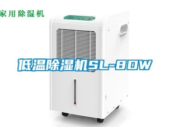 行業新聞低溫除濕機SL-8DW