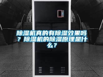 行業(yè)新聞除濕機(jī)真的有除濕效果嗎？除濕機(jī)的除濕原理是什么？