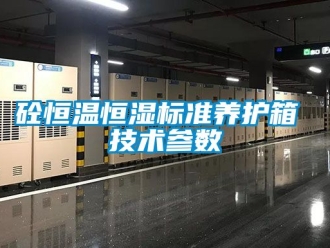 知識百科砼恒溫恒濕標(biāo)準(zhǔn)養(yǎng)護(hù)箱 技術(shù)參數(shù)