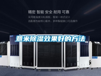 企業新聞薏米除濕效果好的方法