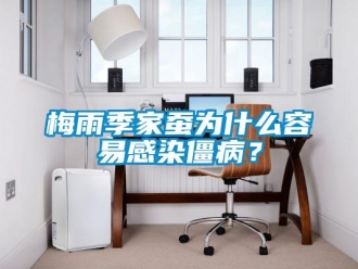 行業(yè)新聞梅雨季家蠶為什么容易感染僵病？