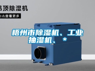常見問題梧州市除濕機(jī)、工業(yè)抽濕機(jī)、＊