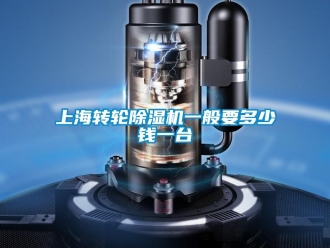 常見問題上海轉輪除濕機一般要多少錢一臺