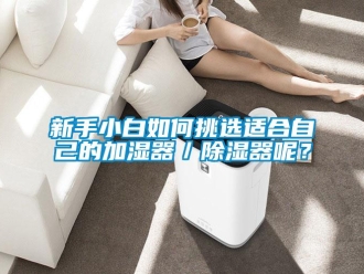 行業新聞新手小白如何挑選適合自己的加濕器／除濕器呢？