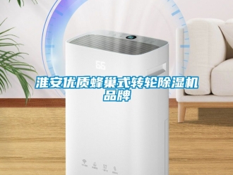 常見問題淮安優(yōu)質(zhì)蜂巢式轉(zhuǎn)輪除濕機品牌