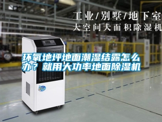 行業(yè)新聞環(huán)氧地坪地面潮濕結(jié)露怎么辦？就用大功率地面除濕機(jī)