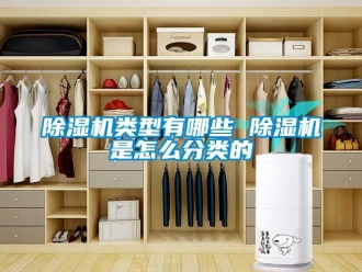 行業新聞除濕機類型有哪些 除濕機是怎么分類的
