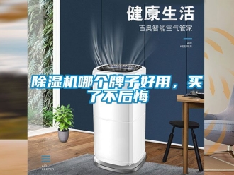 行業(yè)新聞除濕機(jī)哪個(gè)牌子好用，買了不后悔