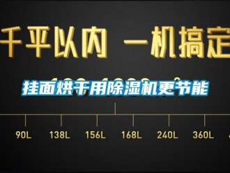 企業新聞掛面烘干用除濕機更節能