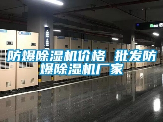 企業(yè)新聞防爆除濕機(jī)價(jià)格 批發(fā)防爆除濕機(jī)廠家
