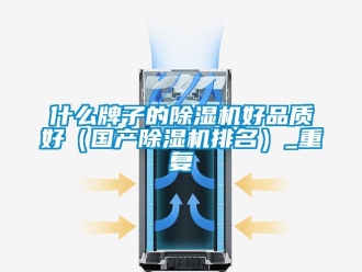 行業(yè)新聞什么牌子的除濕機好品質(zhì)好（國產(chǎn)除濕機排名）_重復