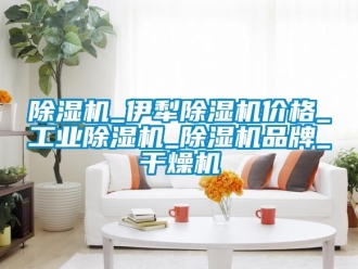 常見問題除濕機_伊犁除濕機價格_工業除濕機_除濕機品牌_干燥機