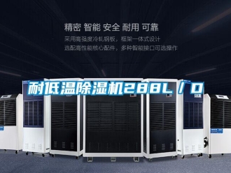 行業新聞耐低溫除濕機288L／D