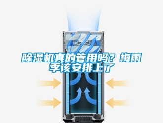 常見問題除濕機(jī)真的管用嗎？梅雨季該安排上了