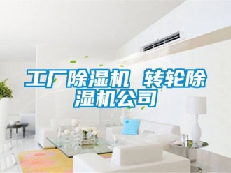 常見問題工廠除濕機 轉輪除濕機公司