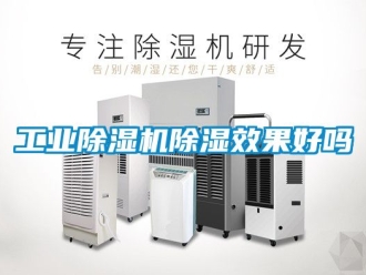 常見(jiàn)問(wèn)題工業(yè)除濕機(jī)除濕效果好嗎